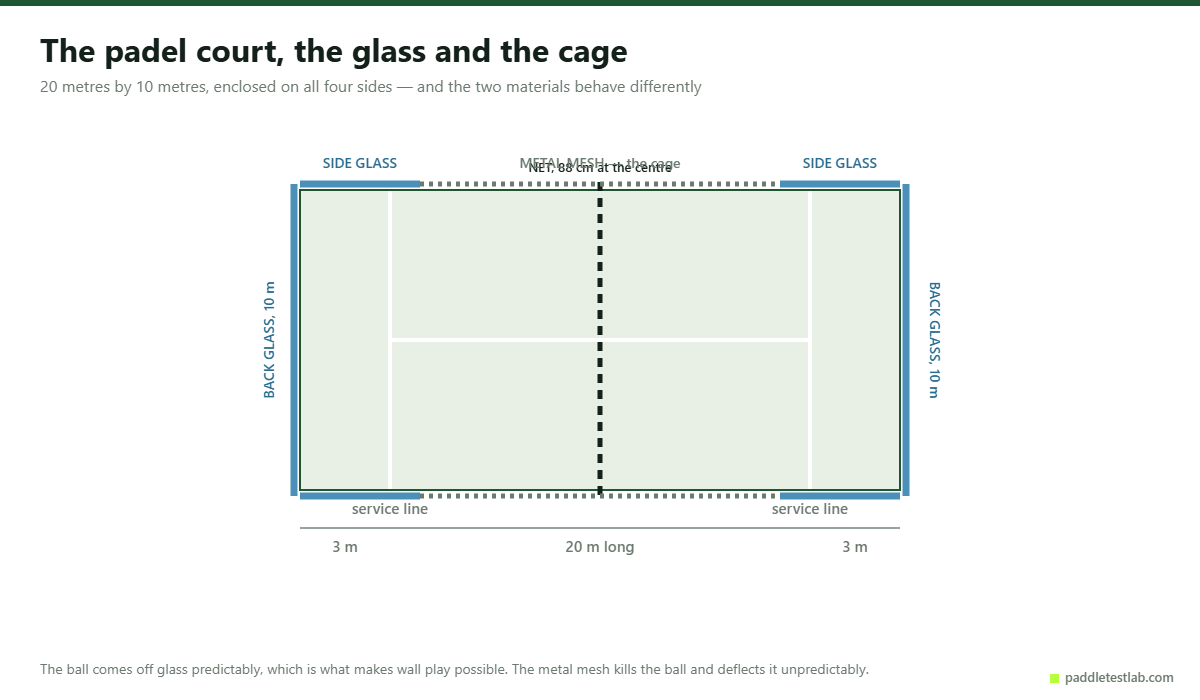 Padel rules diagram showing the glass back walls, mesh cage and service lines