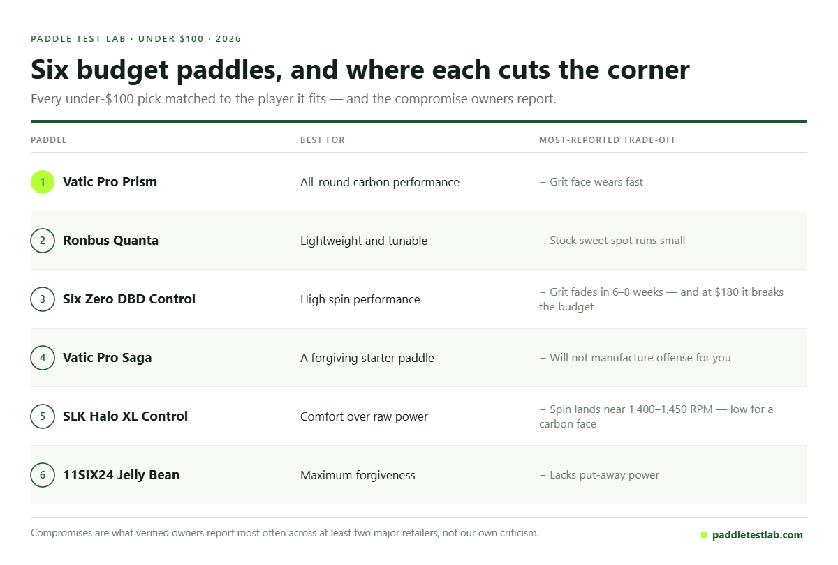 Table of the best pickleball paddles under $100 in 2026 and the compromise each one makes